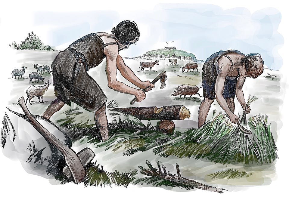 gote goransson yngre stenalder